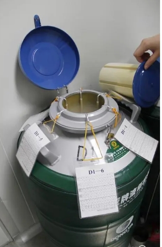 液氮罐 液氮罐