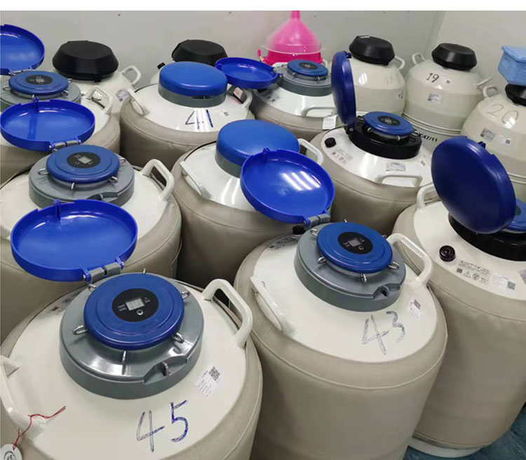 20l液氮罐 20l液氮罐