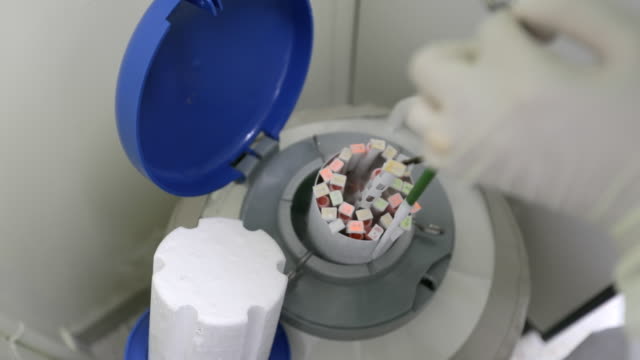 液氮罐凍存細胞 液氮罐凍存細胞