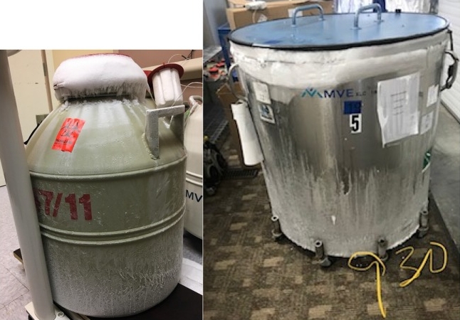 液氮罐內(nèi)部結冰